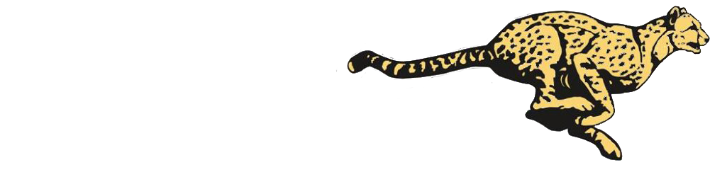 Cheetah's Reliable Freight Solutions | Houston Hotshot Services